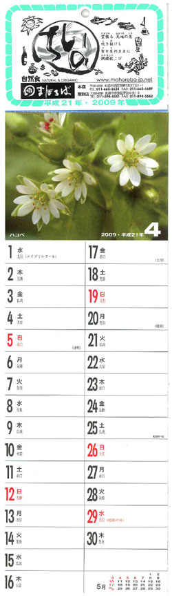 花カレンダー　４.jpg
