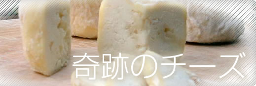 ��Ղ̃`�[�Y